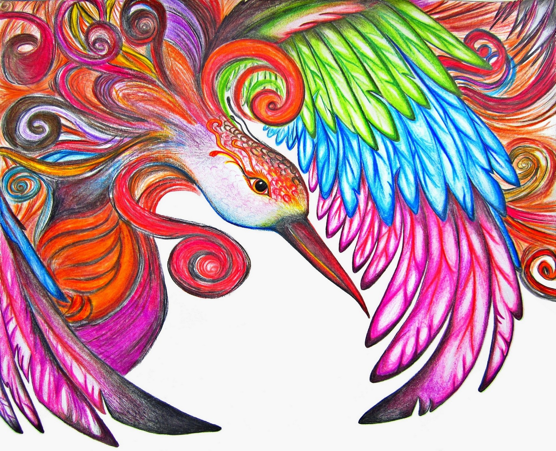 phoenix drawings in pencil